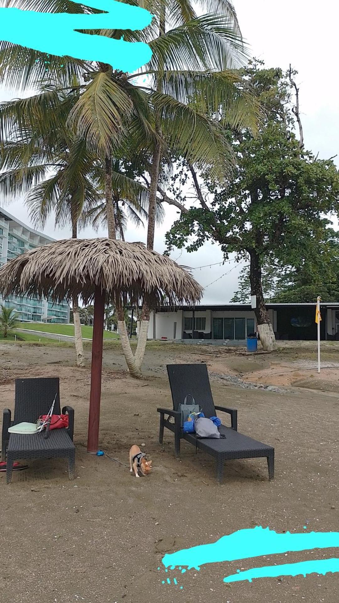 Apartamento En Balabeach Maria Chiquita In Front Of The Beach 2Hab Colon Room photo