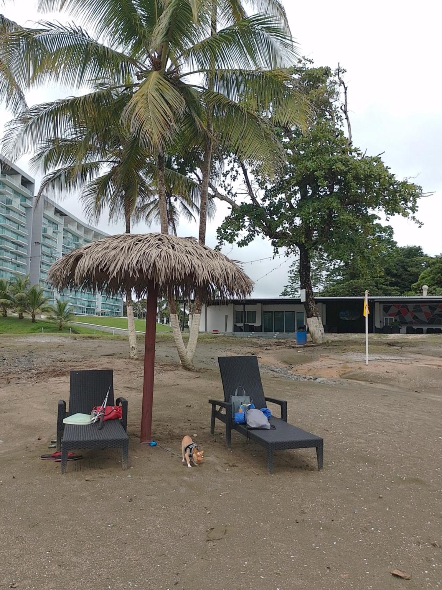 Apartamento En Balabeach Maria Chiquita In Front Of The Beach 2Hab Colon Room photo