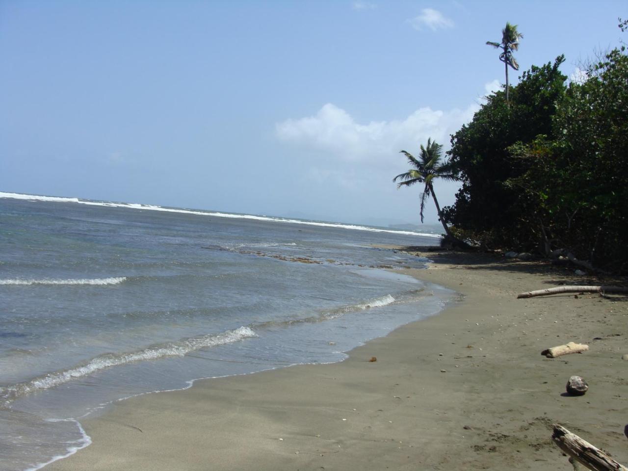 Apartamento En Balabeach Maria Chiquita In Front Of The Beach 2Hab Colon Exterior photo